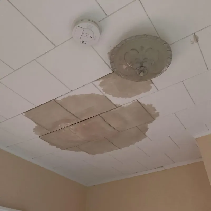Ceiling Water Damage Repair in Polk County, NC