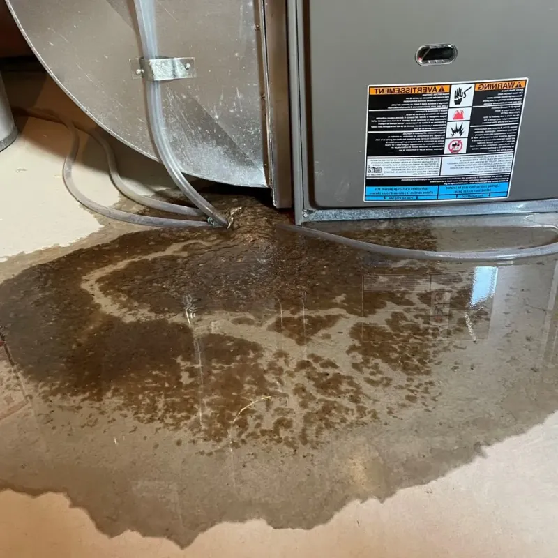 Pipe Burst and Leak Restoration in Polk County, NC
