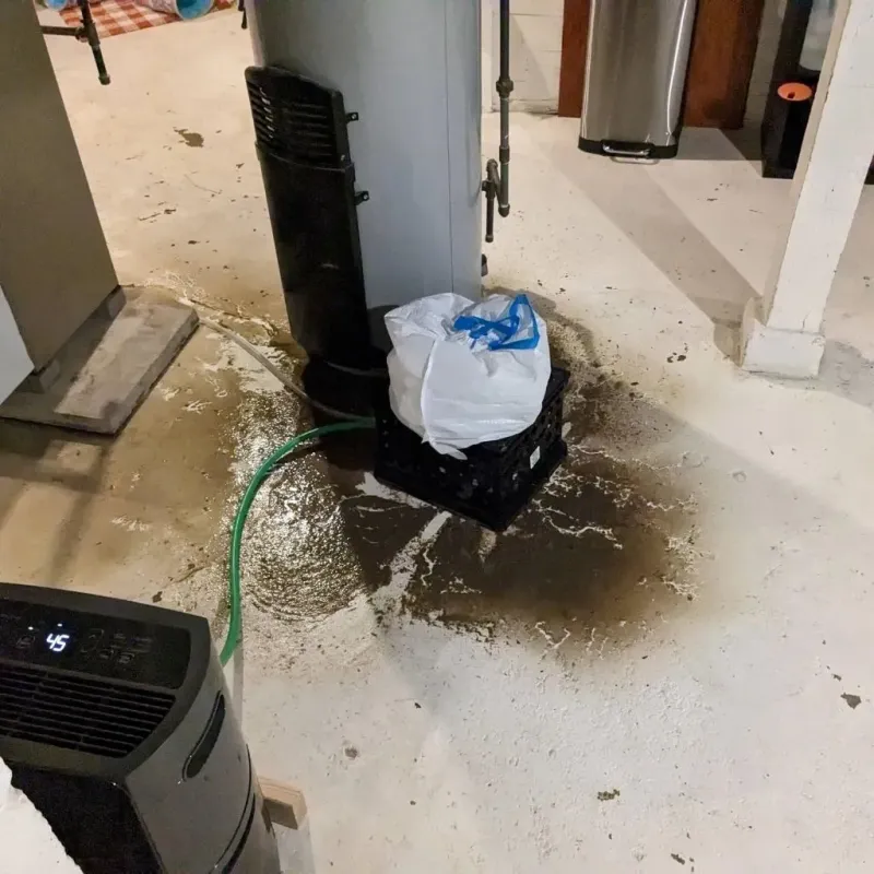 Sewage Backup Cleanup Service in Polk County, NC